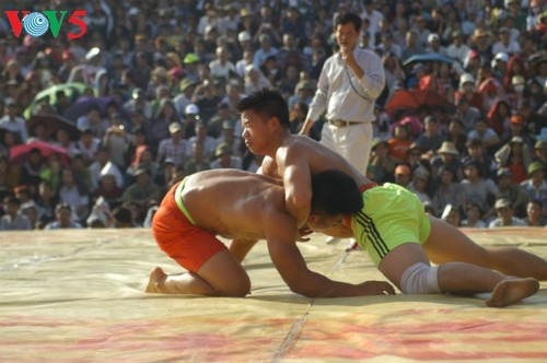 Sới vật Hồng Hà vào xuân - ảnh 5